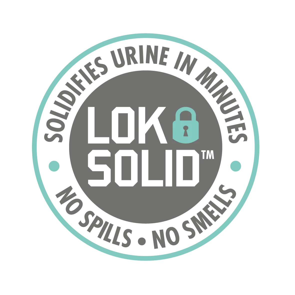 LOK-SOLID badge